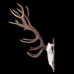 BR_0026_01x.jpg