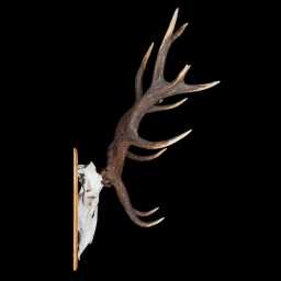 BR_0079_01x.jpg
