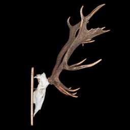 BR_0084_01x.jpg