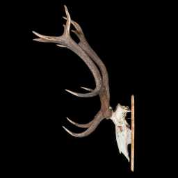 BR_0089_01x.jpg