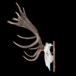BR_0102_01x.jpg