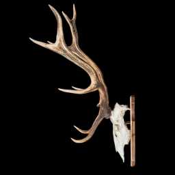 BR_0108_01x.jpg