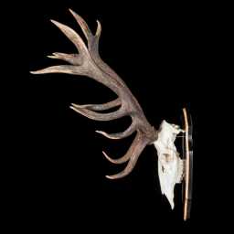 BR_0116_01x.jpg