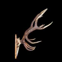 BR_0149_01x.jpg