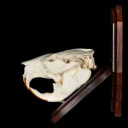 BEB_0009_01x.jpg